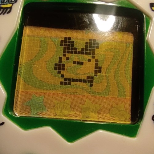 A photo of the tamagotchi, now having grown arms. 